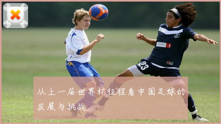 从上一届世界杯征程看中国足球的发展与挑战