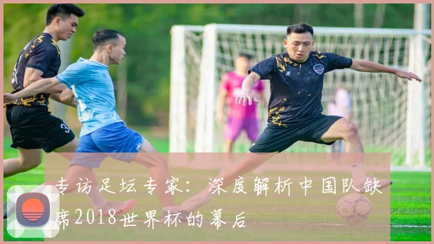 专访足坛专家:深度解析中国队缺席2018世界杯的幕后