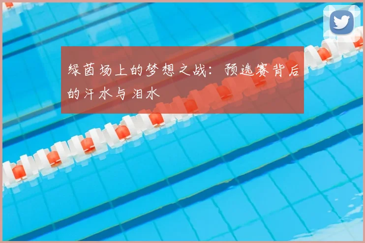 绿茵场上的梦想之战:预选赛背后的汗水与泪水