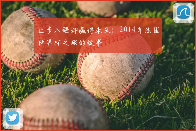 止步八强却赢得未来：2014年法国世界杯之旅的故事