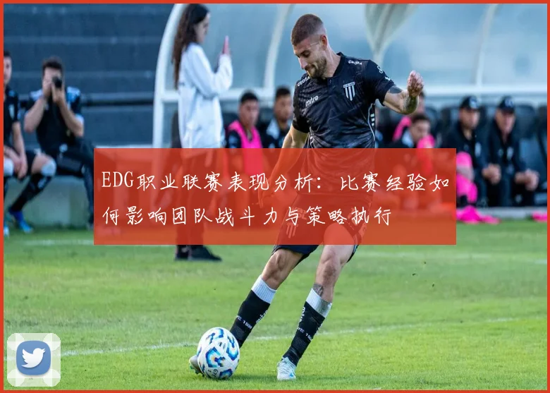 EDG职业联赛表现分析：比赛经验如何影响团队战斗力与策略执行