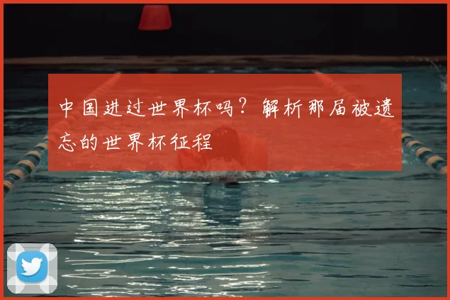 中国进过世界杯吗？解析那届被遗忘的世界杯征程
