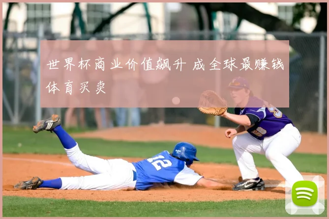 世界杯商业价值飙升 成全球最赚钱体育买卖