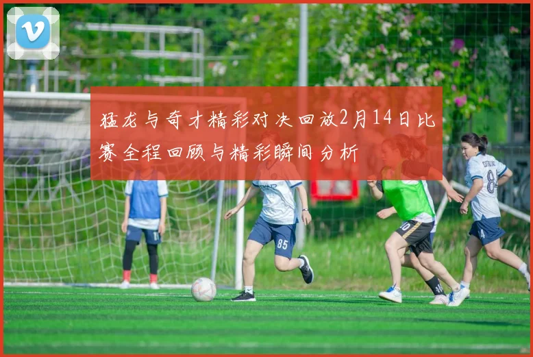 猛龙与奇才精彩对决回放2月14日比赛全程回顾与精彩瞬间分析