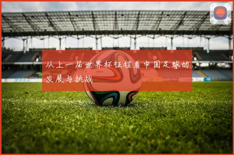 从上一届世界杯征程看中国足球的发展与挑战