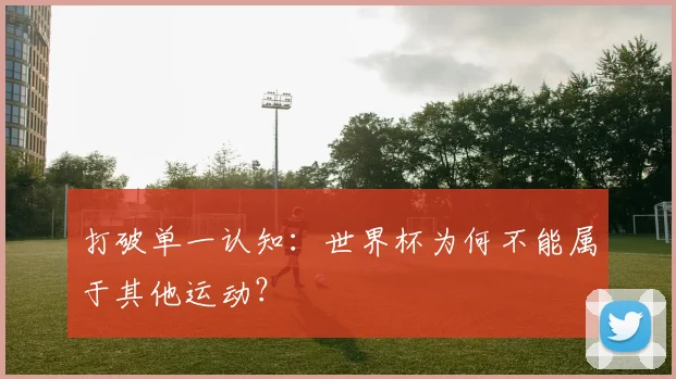 打破单一认知：世界杯为何不能属于其他运动？