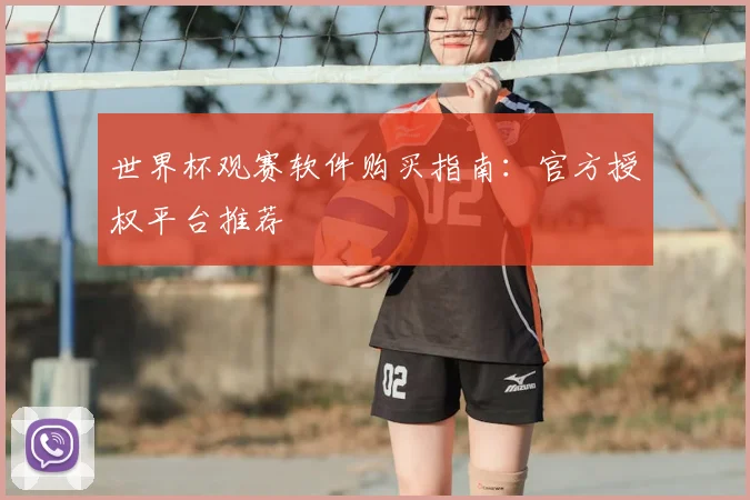 世界杯观赛软件购买指南：官方授权平台推荐