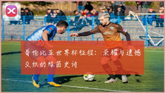 哥伦比亚世界杯征程：荣耀与遗憾交织的绿茵史诗