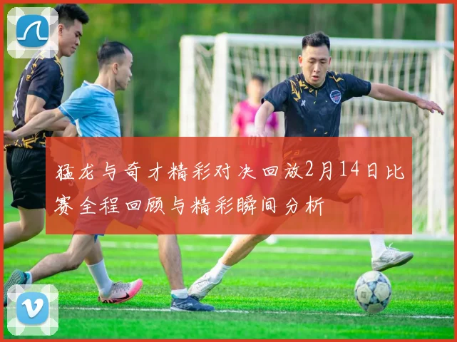 猛龙与奇才精彩对决回放2月14日比赛全程回顾与精彩瞬间分析
