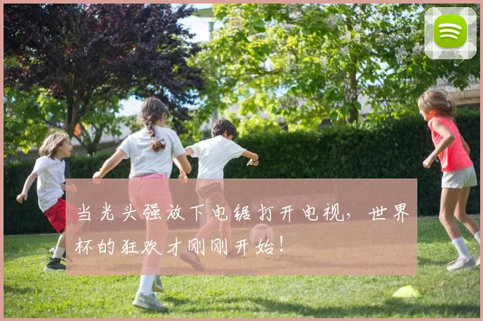 当光头强放下电锯打开电视，世界杯的狂欢才刚刚开始！