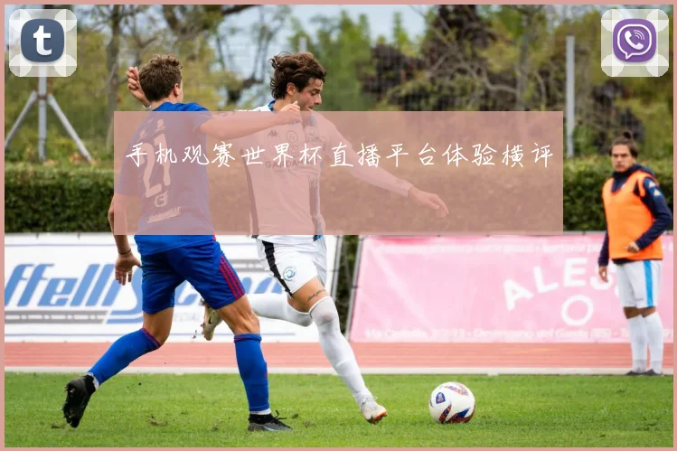 手机观赛世界杯直播平台体验横评