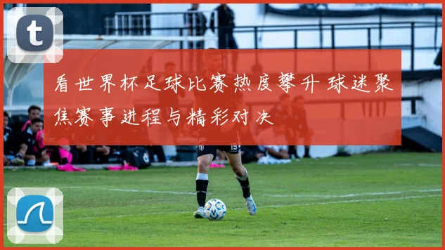 看世界杯足球比赛热度攀升 球迷聚焦赛事进程与精彩对决
