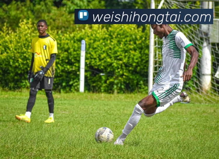 NBA全明星票数分布详情公布詹姆斯库里领跑东西部票王